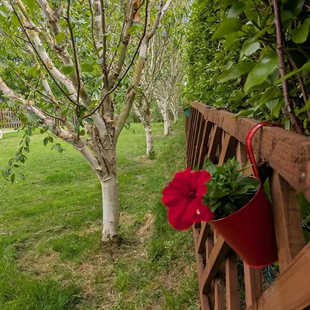 Beachside Bliss 3 Bedroom Retreat With Garden Semesterbostad Bettystown